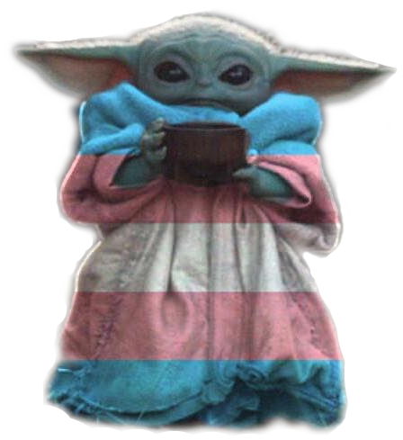 The meme is an image of a character from the Star Wars franchise, specifically a young version of the character known as "Baby Yoda" or "The Child" from the Disney+ series "The Mandalorian". The image shows Baby Yoda holding a mug of coffee and looking like it's about to spill it. The text that appears in the image is "I don't like it when it's hot."